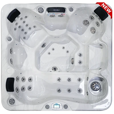 Avalon-X EC-849LX hot tubs for sale in Irvine